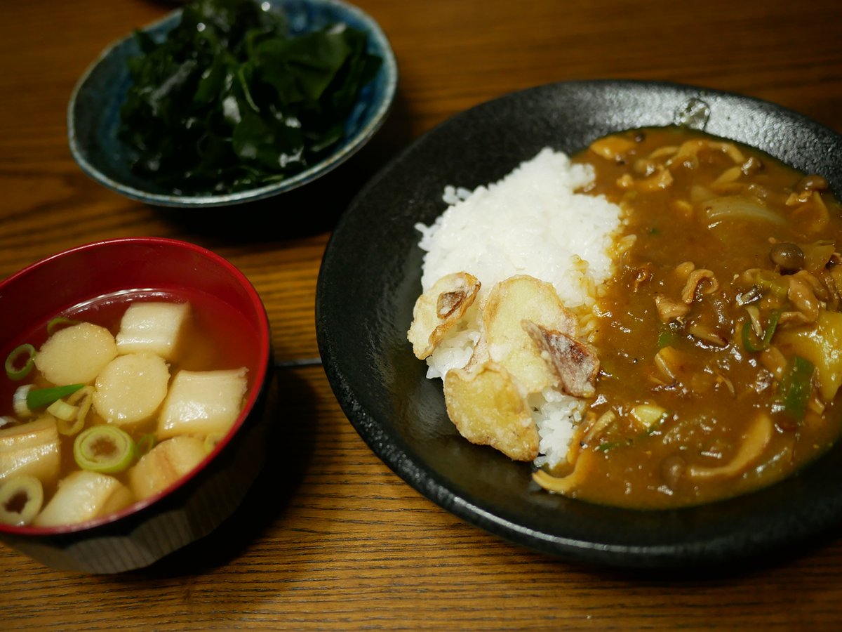 犬のかがやき 余りをカレーにして豚肉を使い切れました