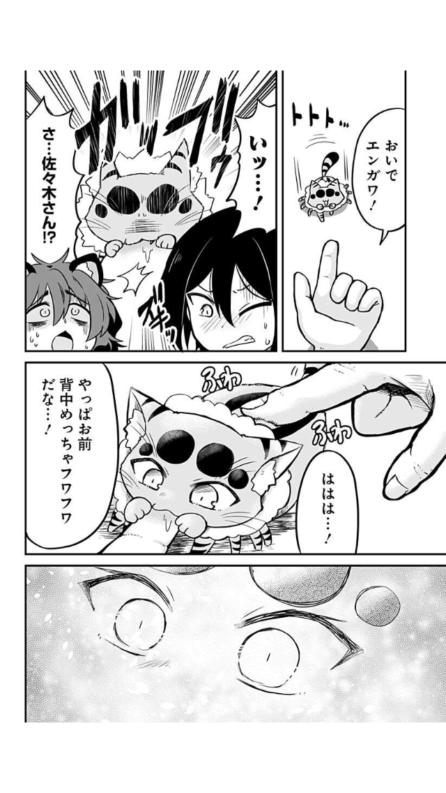 猫みたいな毒グモに噛まれる話 3/4
#創作漫画
#漫画が読めるハッシュタグ