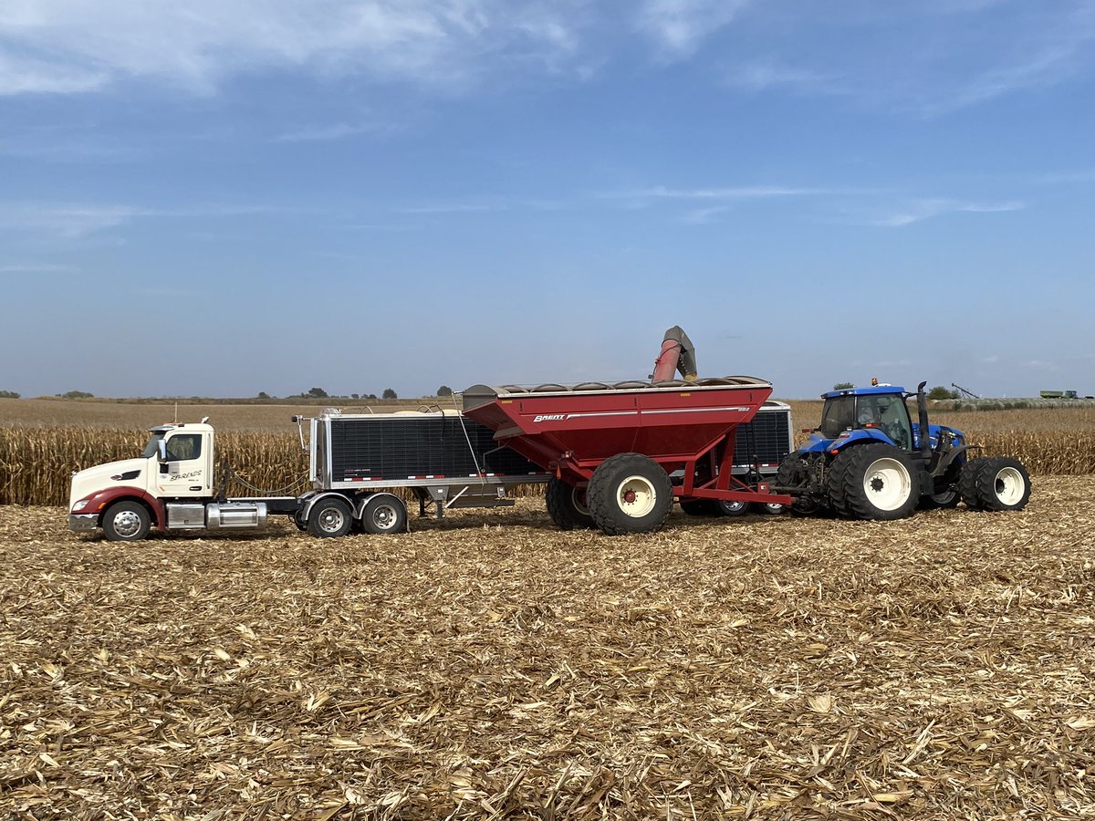chelbehrends's tweet photo. 3 generations strong! Iowa Corn-harvest 2021 SW Iowa (Cass Co) #CornGrowsIowa https://t.co/V57hCeW3fW