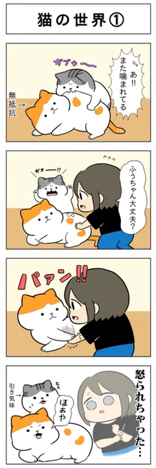 「猫の世界」
(はる蔵さんの「ふうらい日和」第20回)

2話目はこちら⇒https://t.co/cg4MqgLwT2 