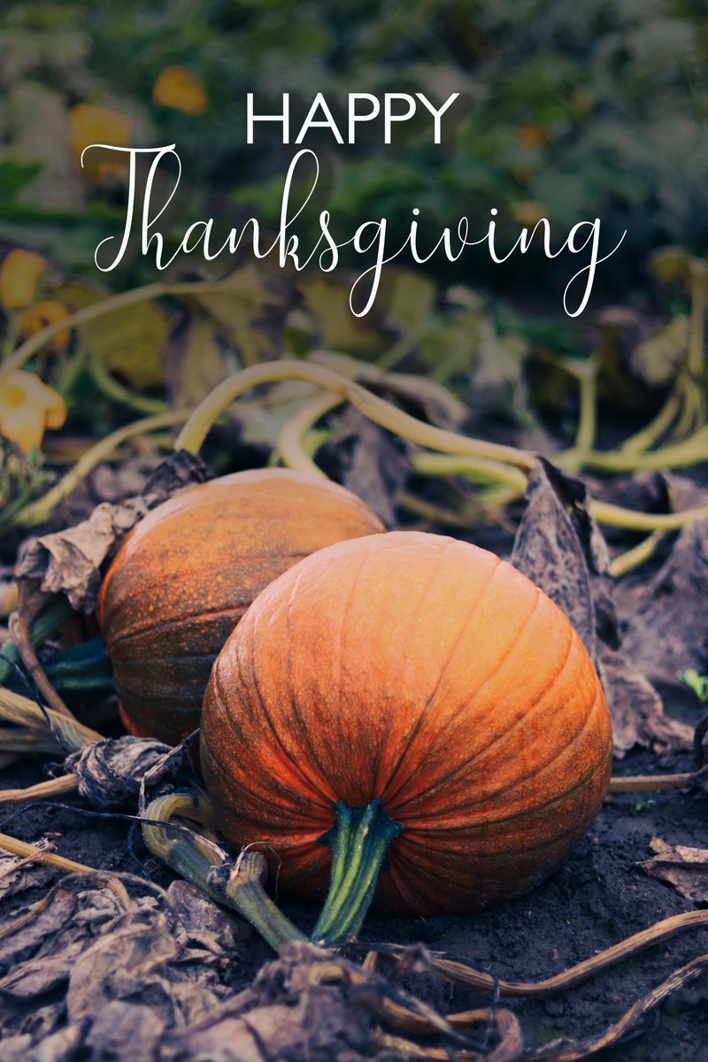 RoomImages's tweet photo. From our families to yours, Happy Thanksgiving!
#Pumpkins #photography @outdoorphotography #naturephotography #theberrypatch https://t.co/yatUcJIMHU