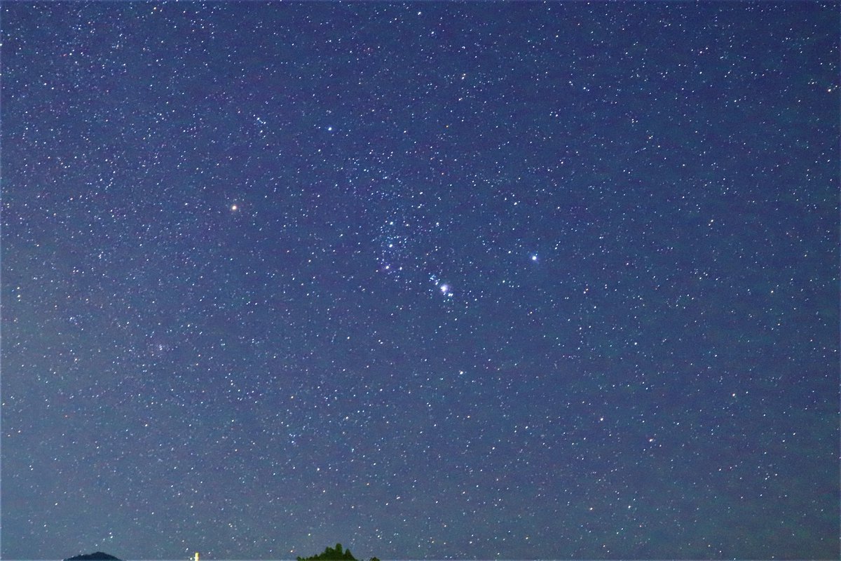 guild4565's tweet photo. 購入した別荘からの星空

アウトドアとキャンプで生きてます！

#キャンプ���きな人と繋がりたい 
#キャンプ女子 
#ソロキャン
#ゆるキャンΔ 
#星空
#写真 
#アウトドア https://t.co/nurOrR4idG