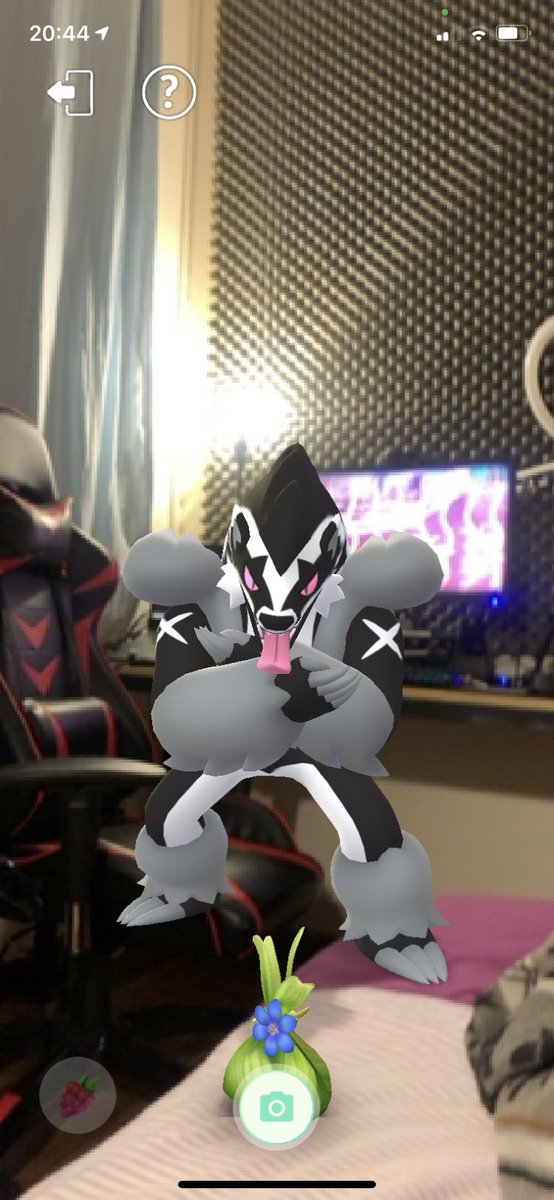 AdamaxaG's tweet photo. Hi guys @NianticHelp 👋🏻! I noticed that there’s little to no space to claim what you buddy brings back with some #pokemon. Think is size 🤷🏻‍♂️ hope this pic helps 👍🏻 greetings from Quito - Ecuador 😎 #PokemonGO #PokemonGOCommunityDay https://t.co/UQrIWcleGO