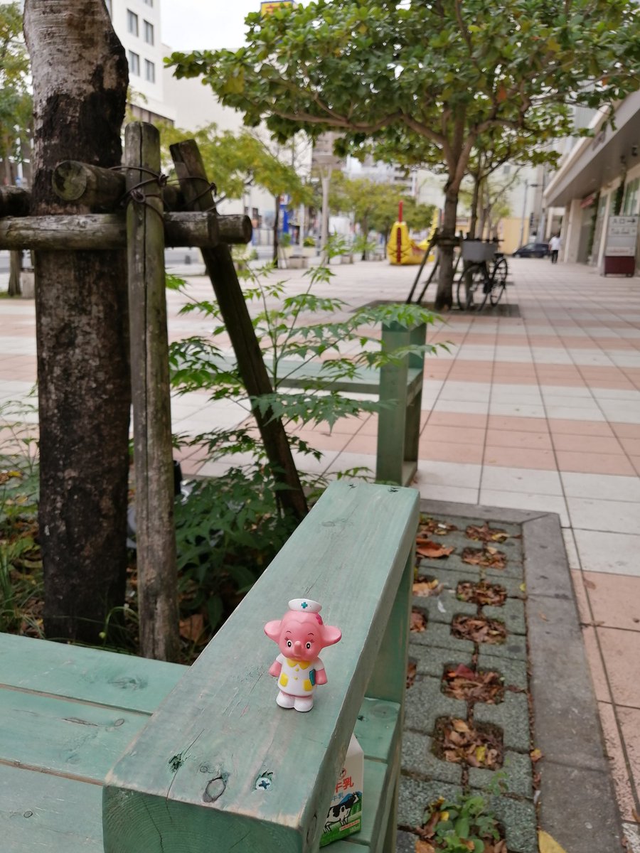 5567abc's tweet photo. 🐛…今…🎶📻🎧。 https://t.co/36fWjOc99N