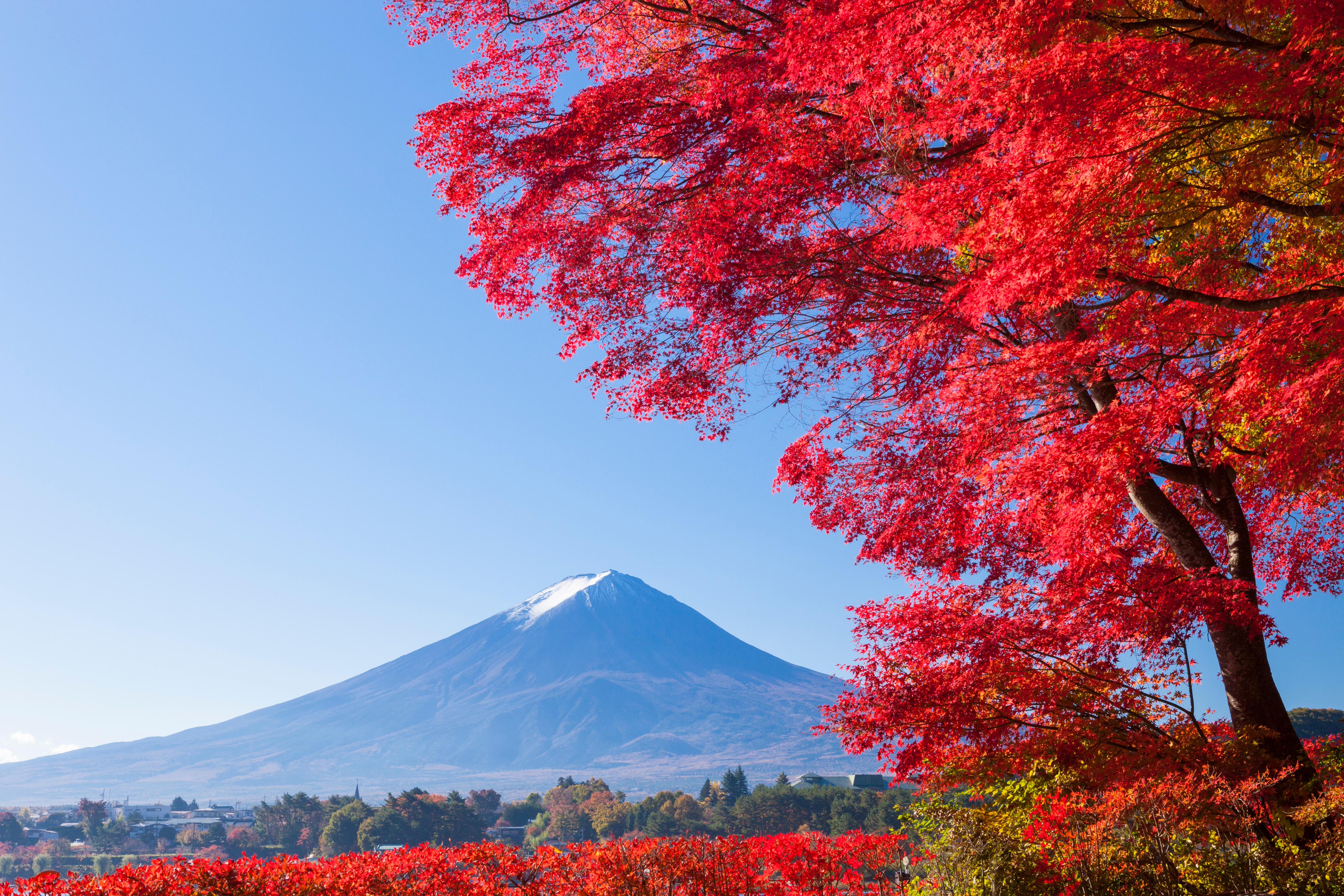Jtb 公式 国内旅行 海外旅行 128字の旅日誌 24 128 ふ 山梨県 河口湖から見る秋の 富士山 標高約0mの高さにある河口湖は 都心よりも早めに秋の訪れを迎え 例年11月初旬から中旬頃が紅葉の見頃です ちなみに河口湖から富士山の5合目