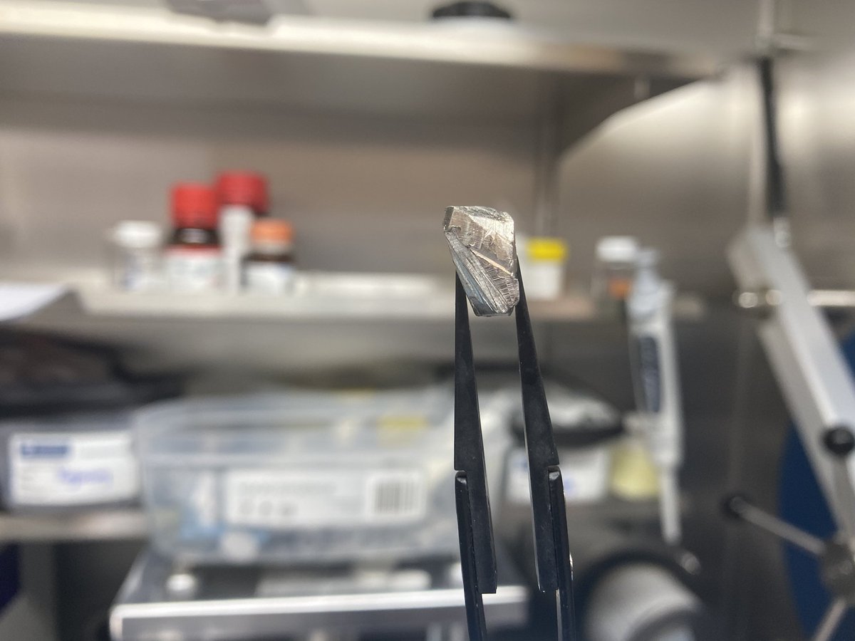 XinSong_MSE's tweet photo. How to use isotope labeling method to track the lithium ion pathway in the solid-state electrolytes(SSEs).
#solidstateelectrolyte
#UoA
Part 1. Sample preparation
Here, we use Li6 to replace the Li7 during lithium ion plating and stripping.
1. Clean the surface of bulk Li6.
2. https://t.co/KRbnDGOLuw