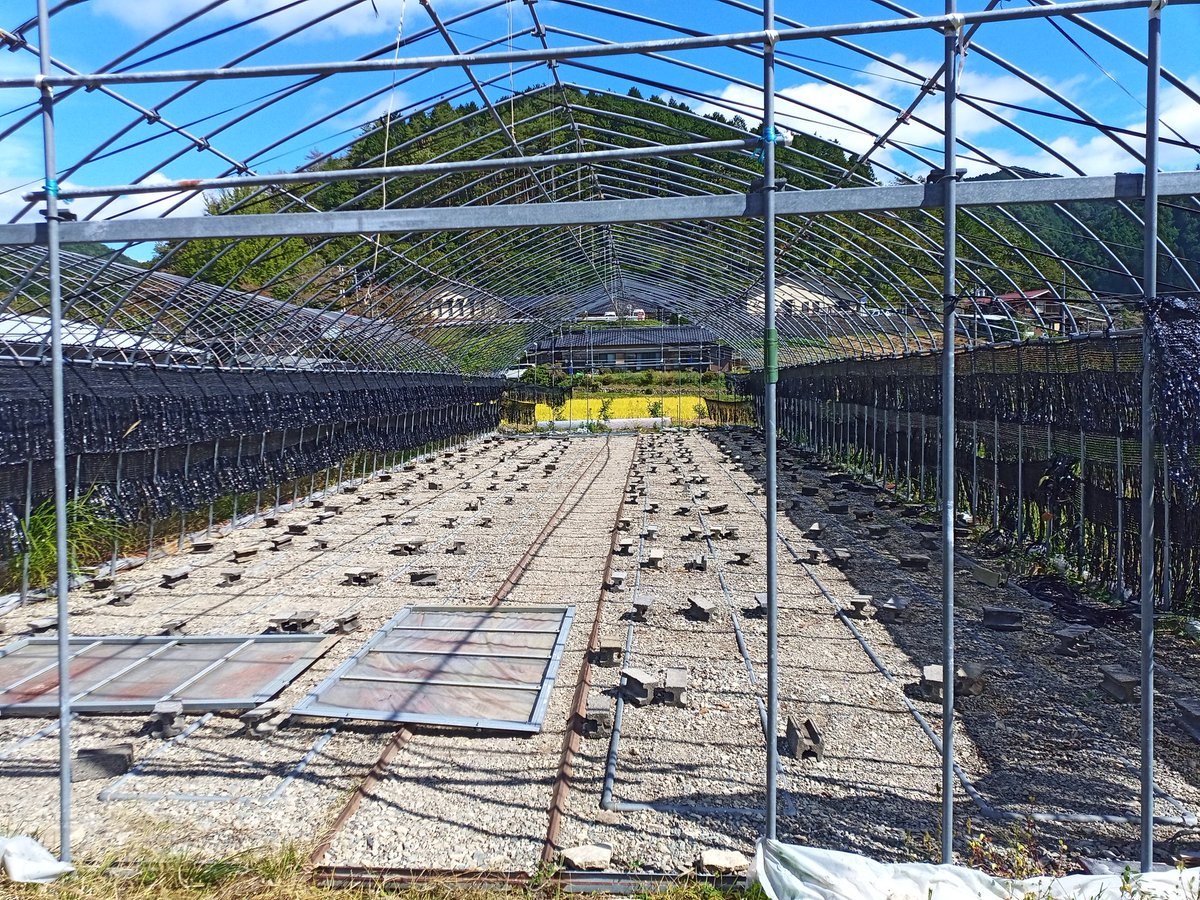 白川町地域おこし協力隊 白川町移住 交流サポートセンター Mino Shirakawa Twitter