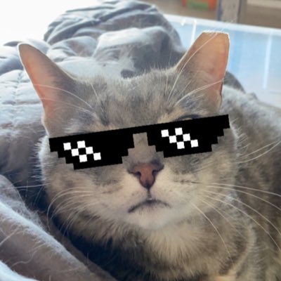 bugyjuice's tweet photo. #NewProfilePic https://t.co/mFeDHW7fcH