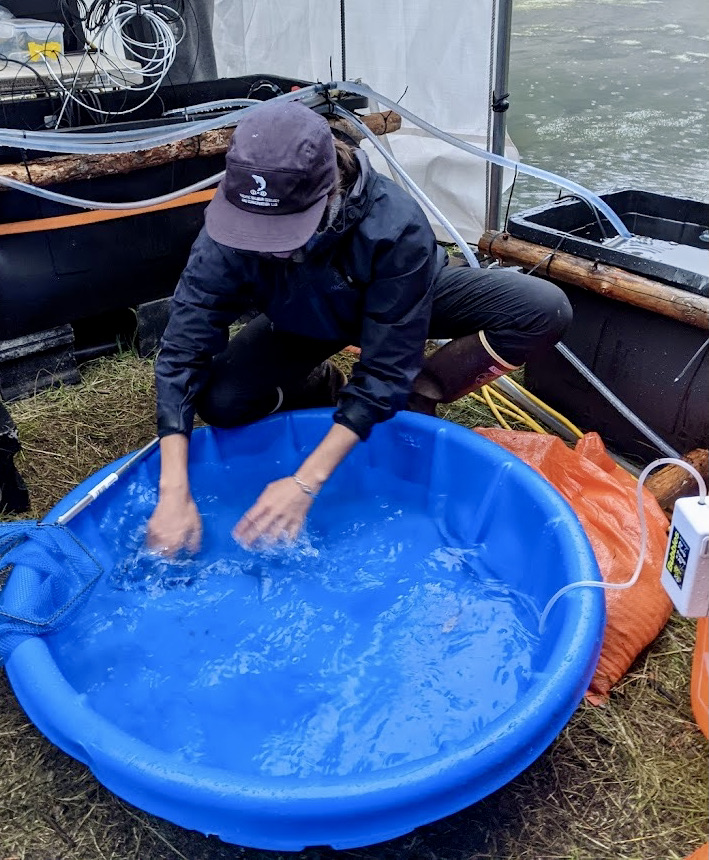 Noa Mayer tweet media