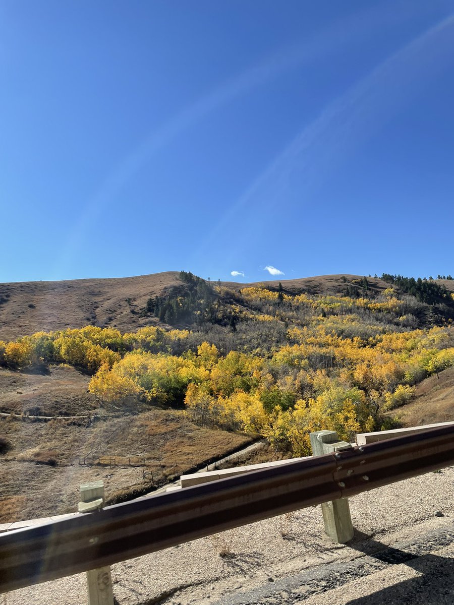 CaitlinLong_'s tweet photo. #Wyoming #BigHorns #CrazyWomanCanyon 🤠🍁🏔 https://t.co/bWHPkqAJA8