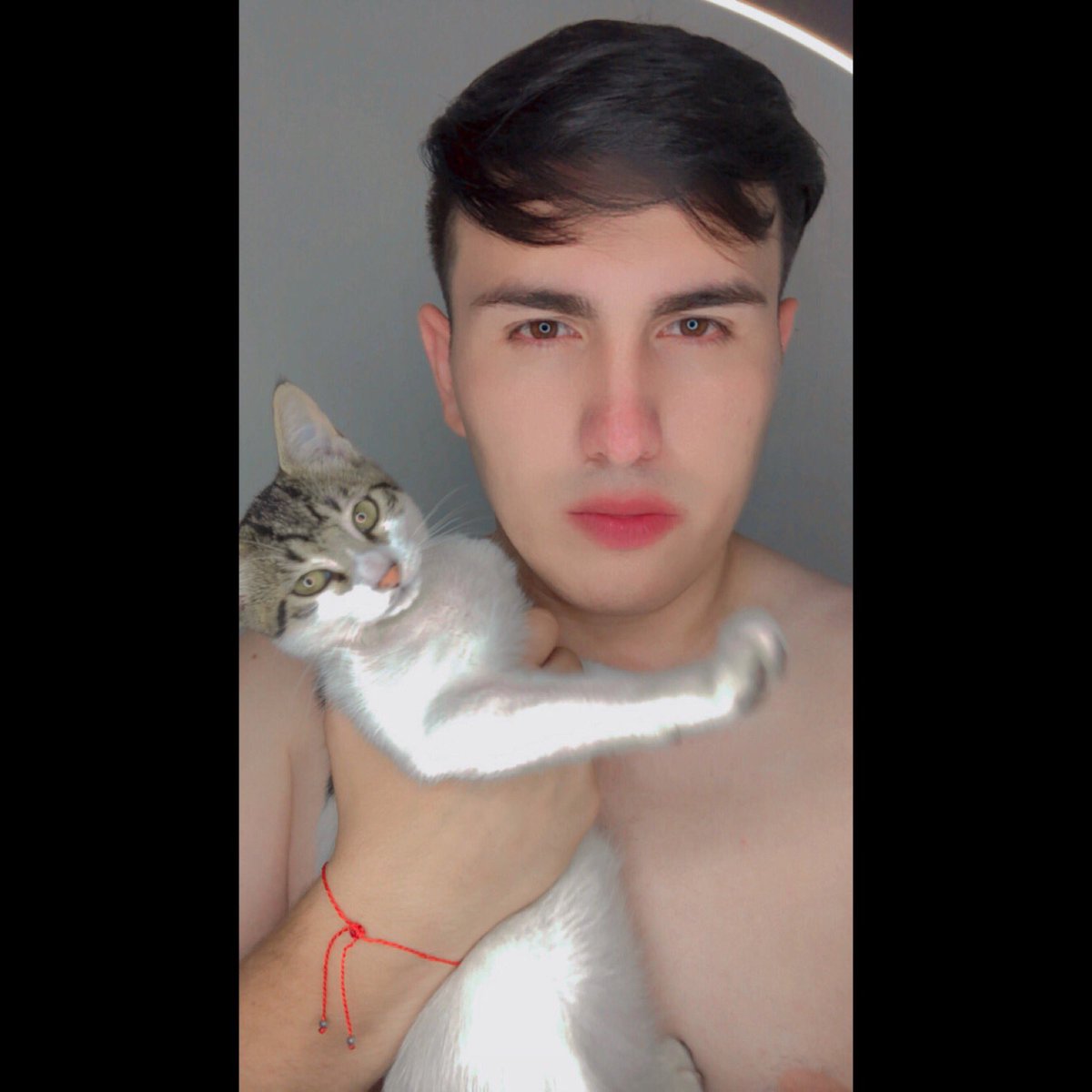 Juliesker_Raitt's tweet photo. Post para presumir a su mascota 🐾 

Jasper 🐈 https://t.co/rXCXm6WiVx
