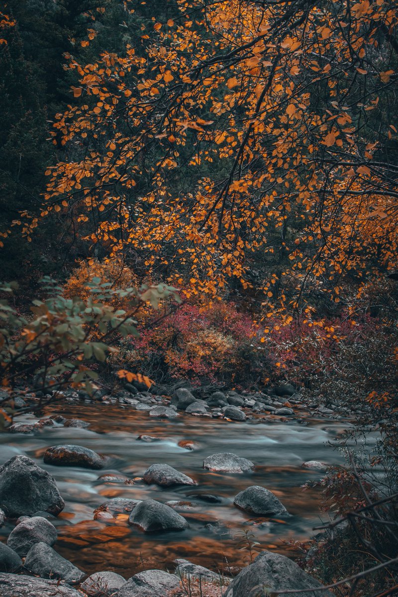 Its already starting to snow 

#photography #fall #landscape #longexposure #nature #lifestyle #travel #fallcolors #landscapephotography #naturephotography #photooftheday #fallphotography #fallphotos #mountains