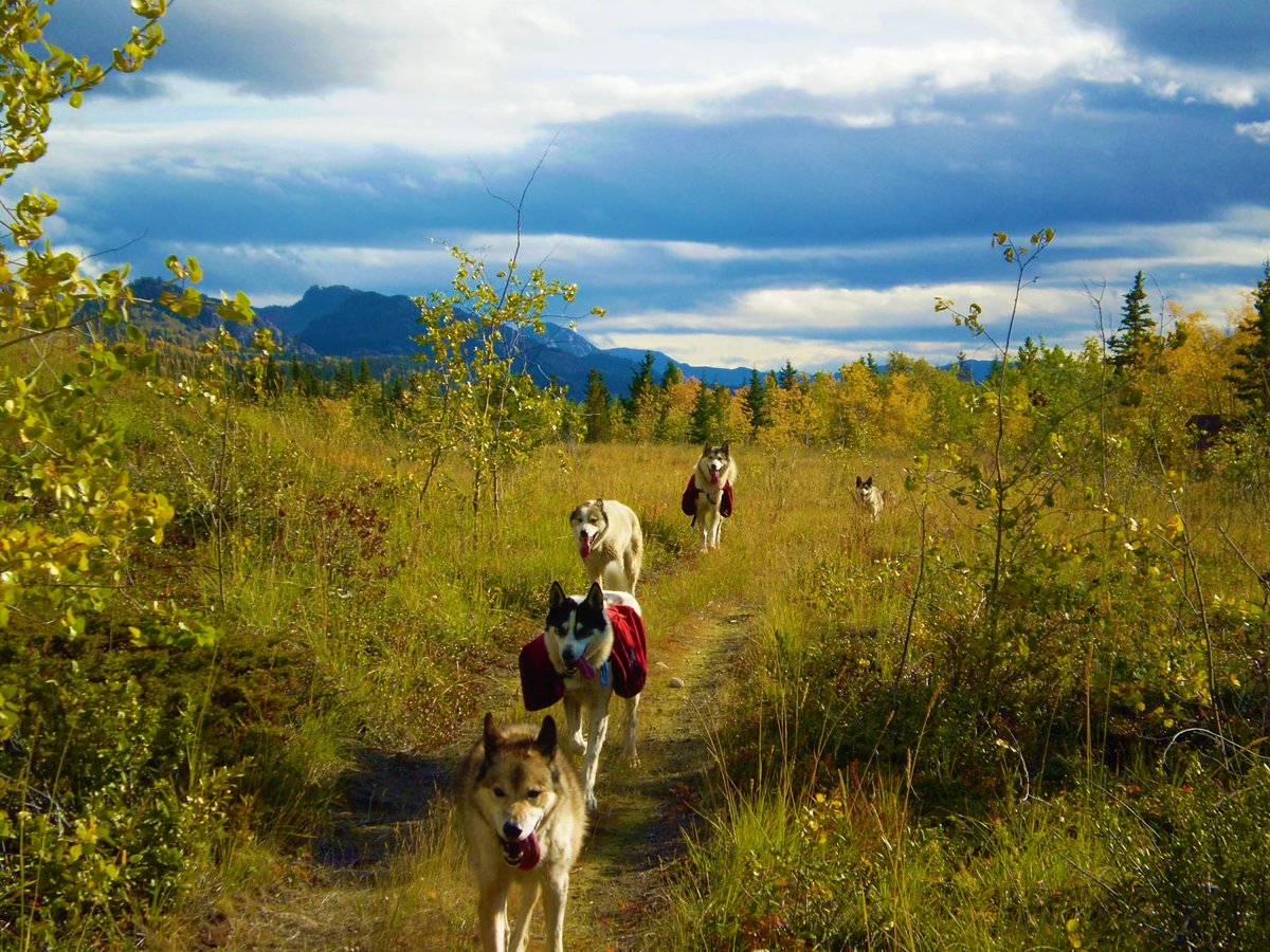 This is the September picture from our new 2022 calendar.  Please let me know if you would like one or more calendars for yourself or for gifts.  They will be $20 + postage + 5% tax.  I plan to mail them out in the next one to two weeks.