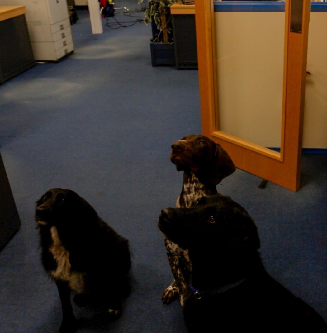 MstrStrokeMedia's tweet photo. Had a great day filming some new online content for a #AeroSpace industry supplier. Also jealous of being able to take your dogs to work. https://t.co/QSECbCTWDY