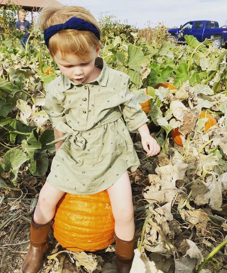 Go to <a href="/ajw545/">AJ Worden 🐍 🐢</a>’s corn maze and pumpkin patch. Hood work pal.