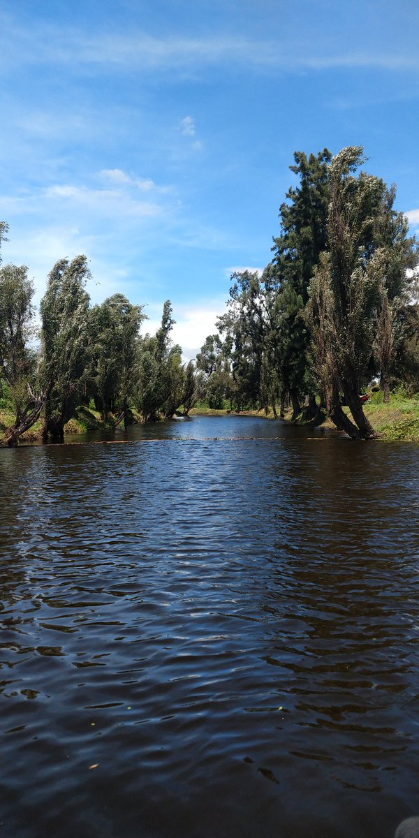 queques20's tweet photo. @SinXochimilco https://t.co/bJjM2cc5je