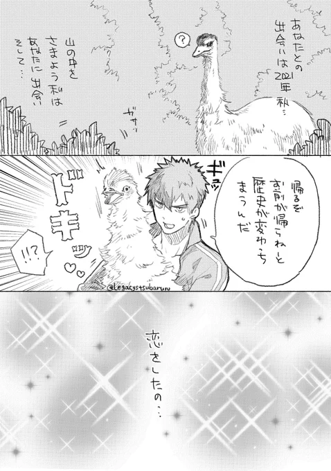 エミューと同田貫の出会いの物語を求められてしまったからエミュたぬを描きました。 