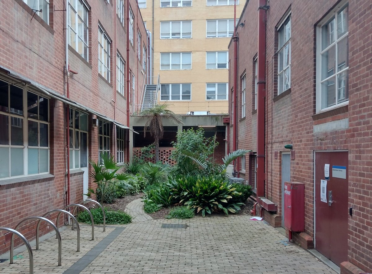 _ficus's tweet photo. Spotted this beautiful little pocket of lushness on the University of Melbourne campus recently. What a delight, to be surprised by a tiny park in such a heavily built-up area. 

A nice reminder that we *can* have nature in cities, even the really urban bits 🍃 https://t.co/cwm6ZfrJbA