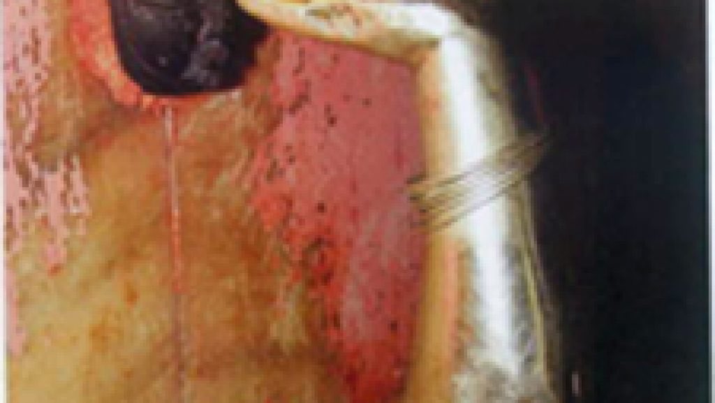 Shweta Shalini tweet media