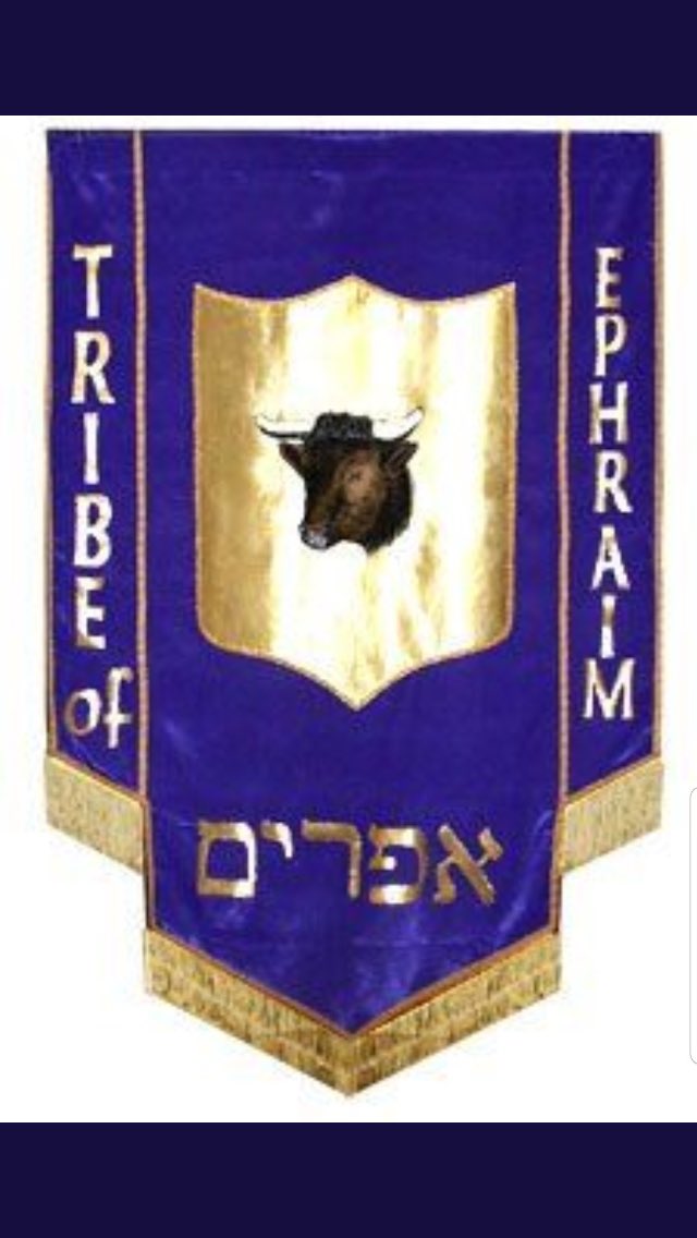 ZaySupre™️ tweet media