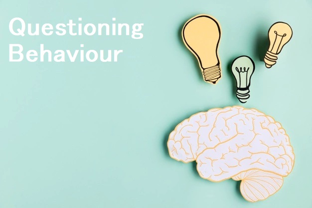 QuestioningBehaviour tweet media