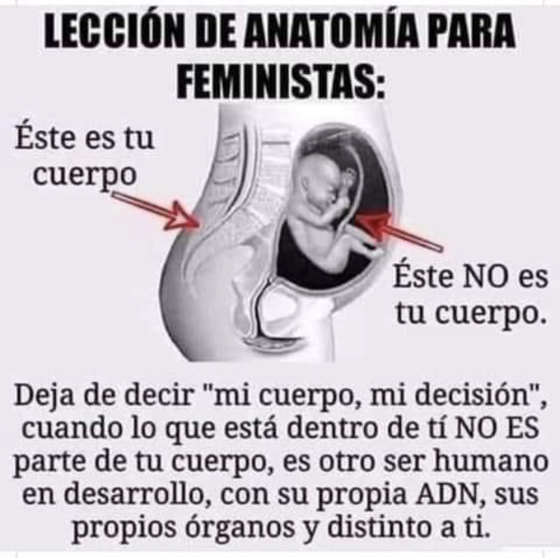ElCordo94766306's tweet photo. A ver feminazis, es tan difícil entender esto?? #NoAlAborto https://t.co/9DBQUJaX2h