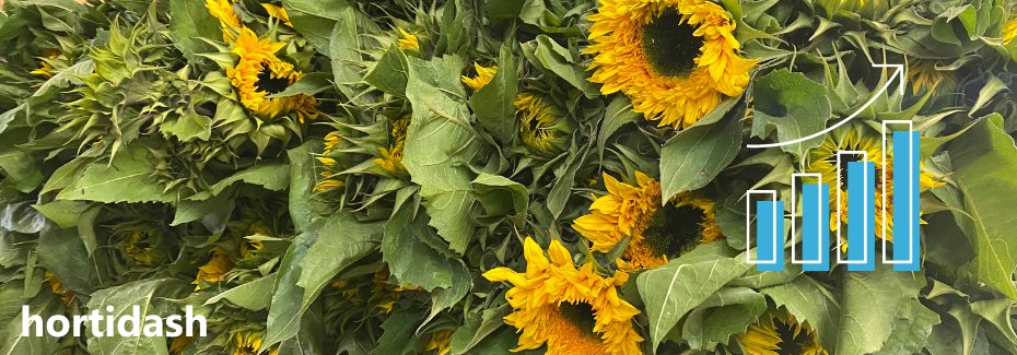 hortidash tweet media