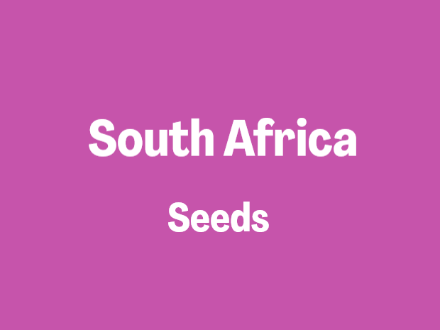 ABS works! Check out the new contribution about ABS in South Africa and biochemical research on plant seeds: nagoyaprotocol-hub.de/south-africa-s… 
#Biodiversity #NagoyaProtocol #theABSweALLneed