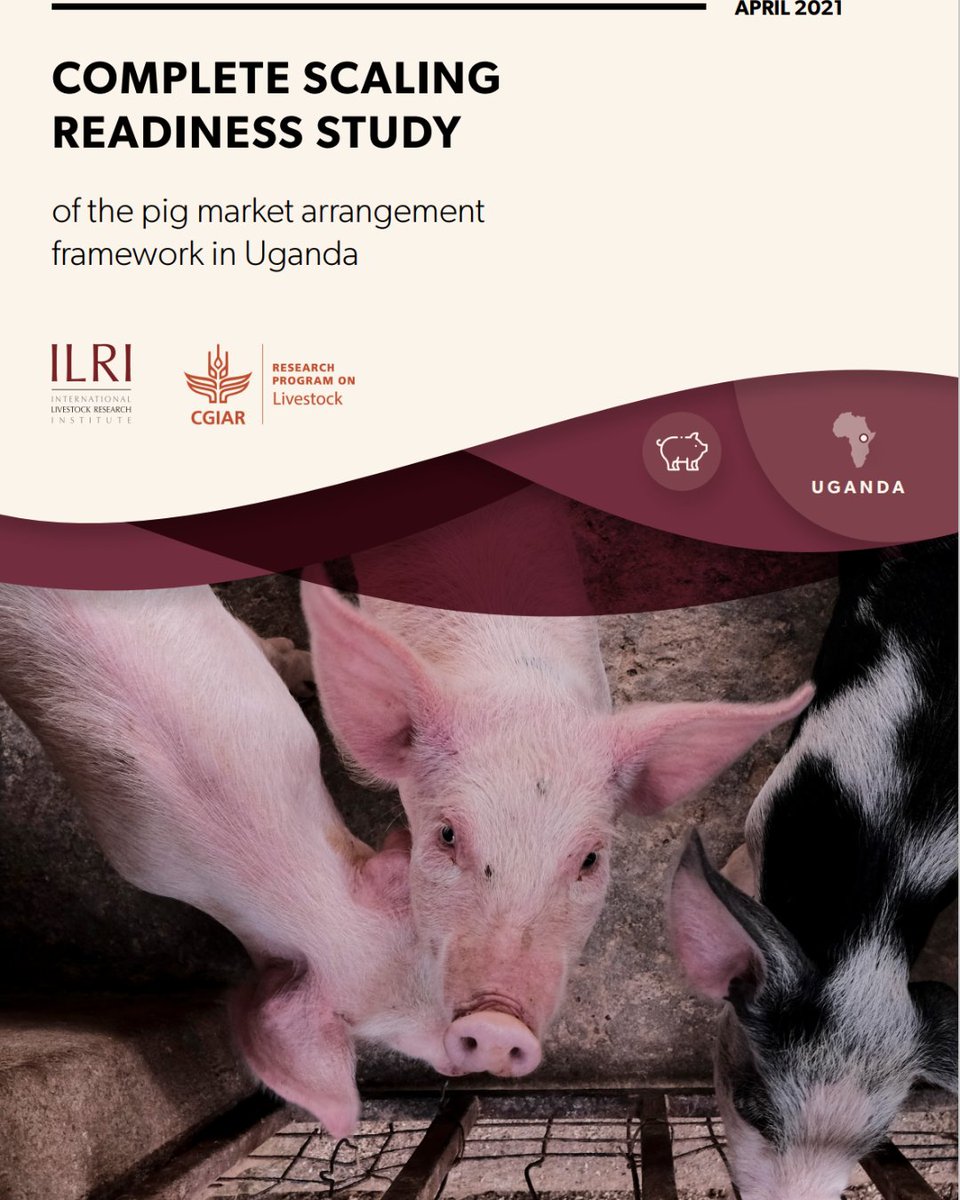 #Livestock is very important for the lives of people in #low income contries. It is a source of income, investment for paying school fees, marrying your kids, paying health bills.  #Pigs are also important for dating in Uganda! Are you curious what else we found, read our study!