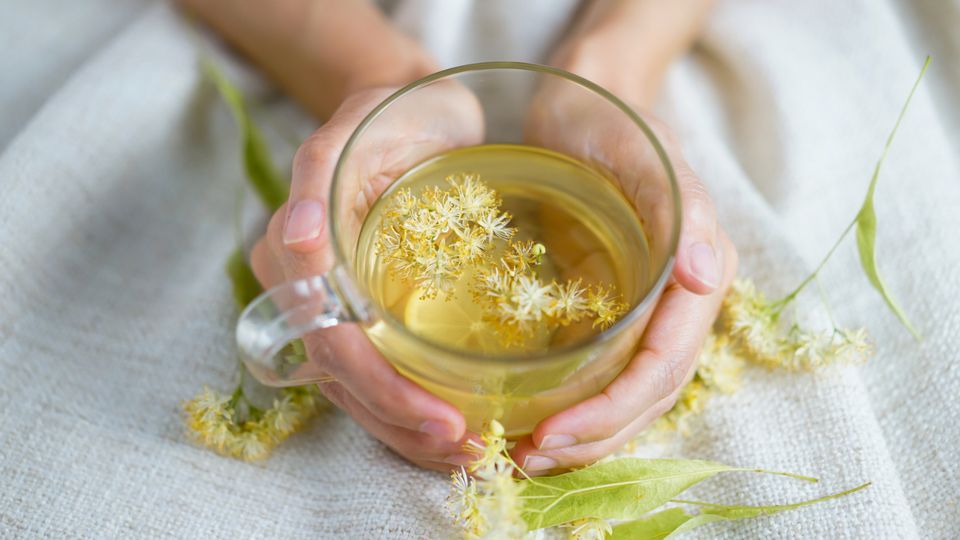 Herbal teas are some of the most popular hot drinks around. When you combine the natural taste, the lack of any potentially unhealthy ingredients like caffeine, and the suggested health benefits, this perhaps shouldn't be surprising. 
 
#HerbalTea  
 
yours.co.uk/wellbeing/food…