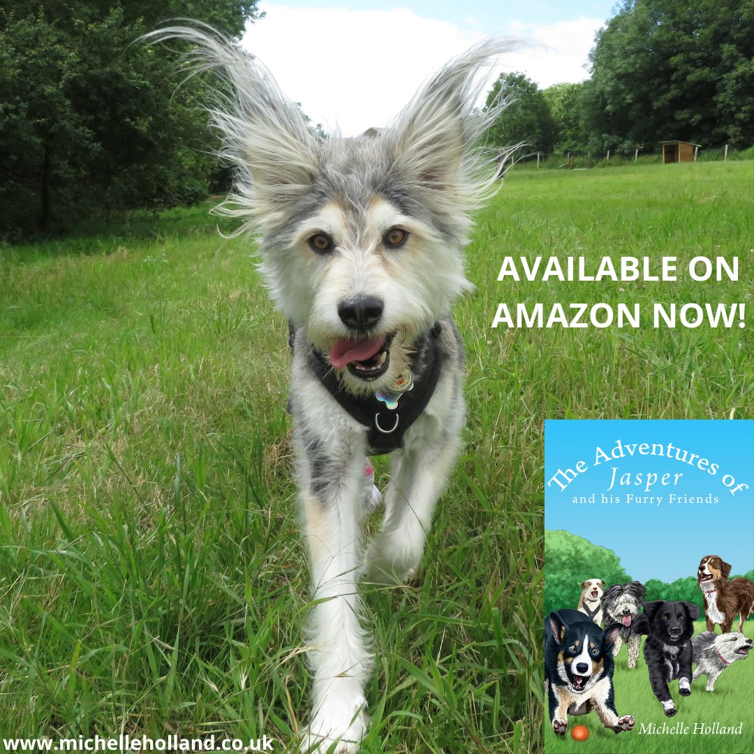 MICHELL64959353's tweet photo. Have a fabulous #MondayMotivation with love from Penny, Jacob and Patsy WOOF YOU! #Retweetplease #BooksOffice #dogs #DogLover #doglovers #dogrescue #adventure #book #truestory 50% of all profits will be donated to #rescues https://t.co/NcqmFHMu6g https://t.co/JefkGO2GaM