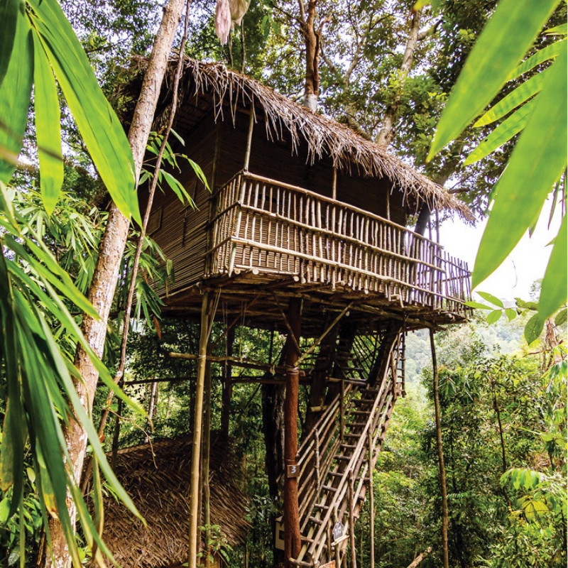 Ga jij mee op een creatieve virtuele reis naar Peru, waarin je dingen over jezelf leert die je nooit voor mogelijk hield? Waarin je kunst maakt met een grote K en lol, avontuur en fun hebt?

Kijk voor meer informatie naar de verschillende opties: sandrabarth.online/ga-mee-op-wint…