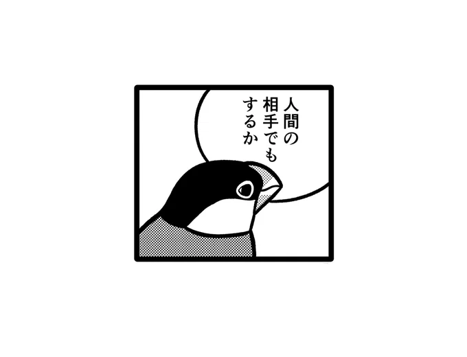 ありがとう文鳥 