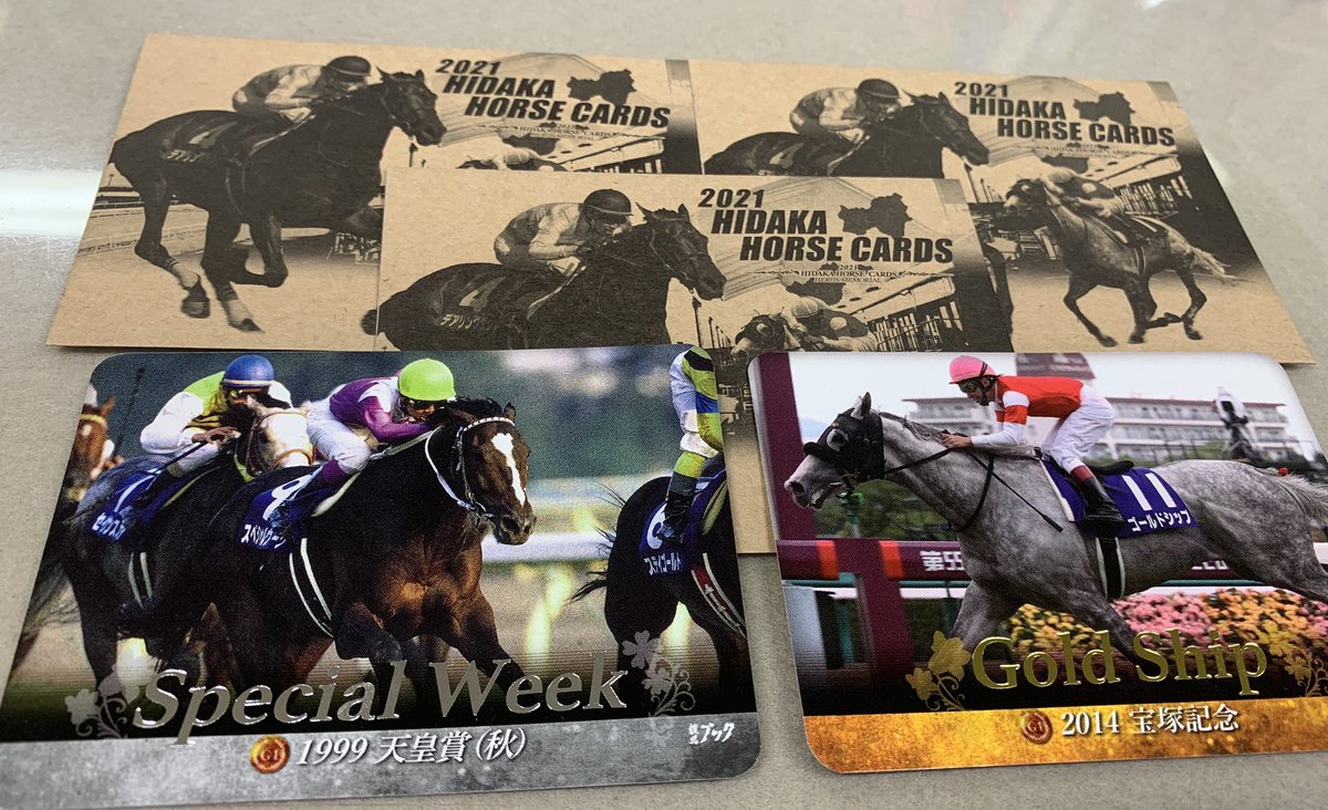 2022?新作】 競走馬 トレカ 競馬 日高ホースカード CARDS HORSE HIDAKA - トレーディングカード -  www.cecop.gob.mx