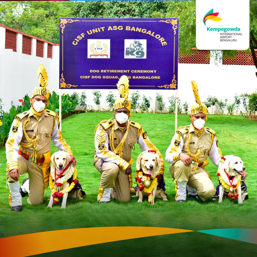 The #CISF team at #BLRAirport recently held a #farewell ceremony for 3 #canines that had served for 10 years. In recognition of their efforts, Rano, Kimy &amp; Staffy- all Labradors- were honoured with medals for their dedication and service, as they bid adieu to the force.<a href="/CISFHQrs/">CISF</a>