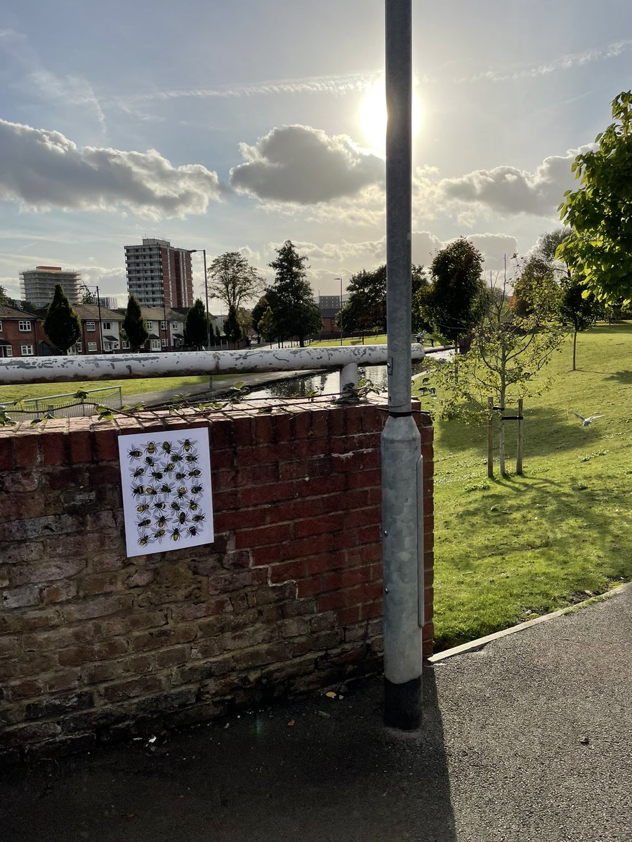 Pedal Precision tweet media