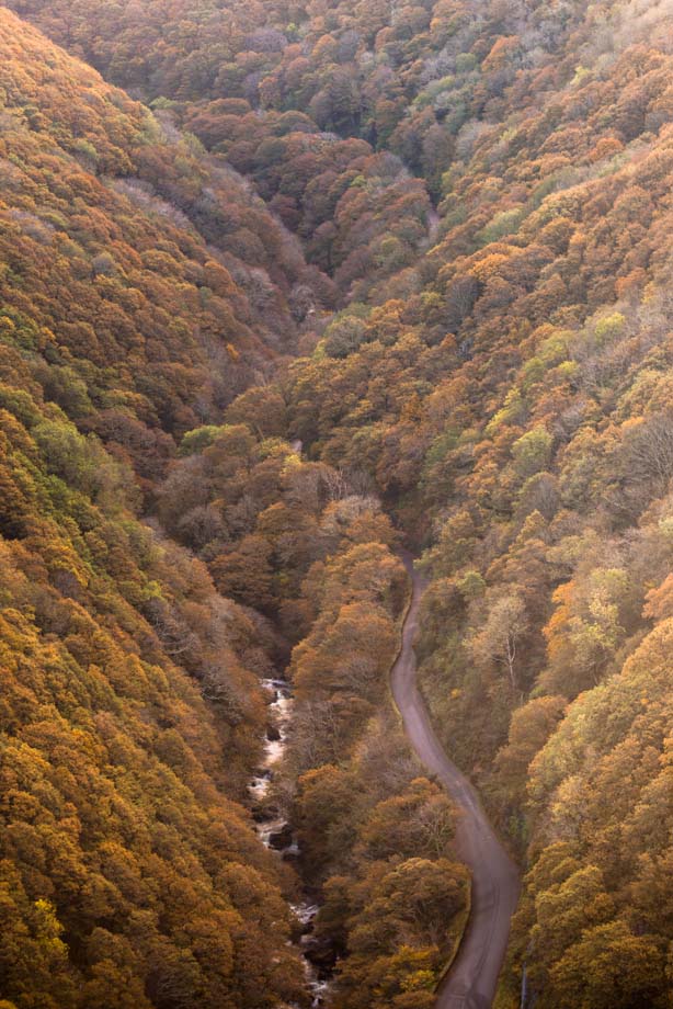 NorthDevonNT tweet media