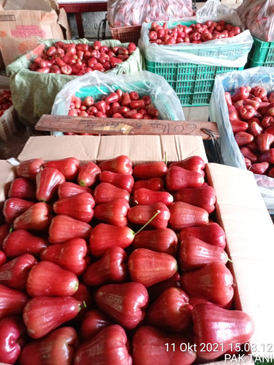 Grade A
GRADE A/B  gerak cepat bos rebutan soalnya 🙏🏾🙏🏾
Hari ini ready dan siap kirim 
❤️❤️❤️ Garansi pas barang datang 
Jambu citra bayar pas barang sampai 
Janbu citra posisi Purbalingga Jateng 
INFO ORDER klik  wa.me/6281215359997
wa.me/6283128398999