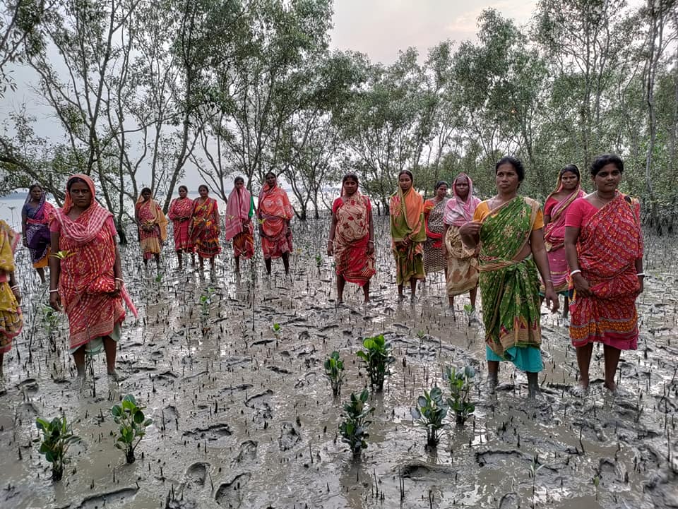 VPrabaho's tweet photo. Day 1
VISION  MANGROVE
3 day long program started from 8th October with some community services at Sonagaon, Gosaba, West Bengal. https://t.co/WsfvMldgoU
