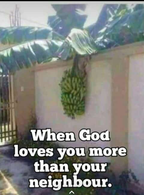 ramya30380's tweet photo. @karpagamkan @umasketches @nisshaa2004 @arultweep @Meenadesigns @kaatavarayan Good morning &amp; be careful about your flowers 😜😛🤪 #WarningTrigger (U know what I mean! 😜) https://t.co/Gesx16uxay
