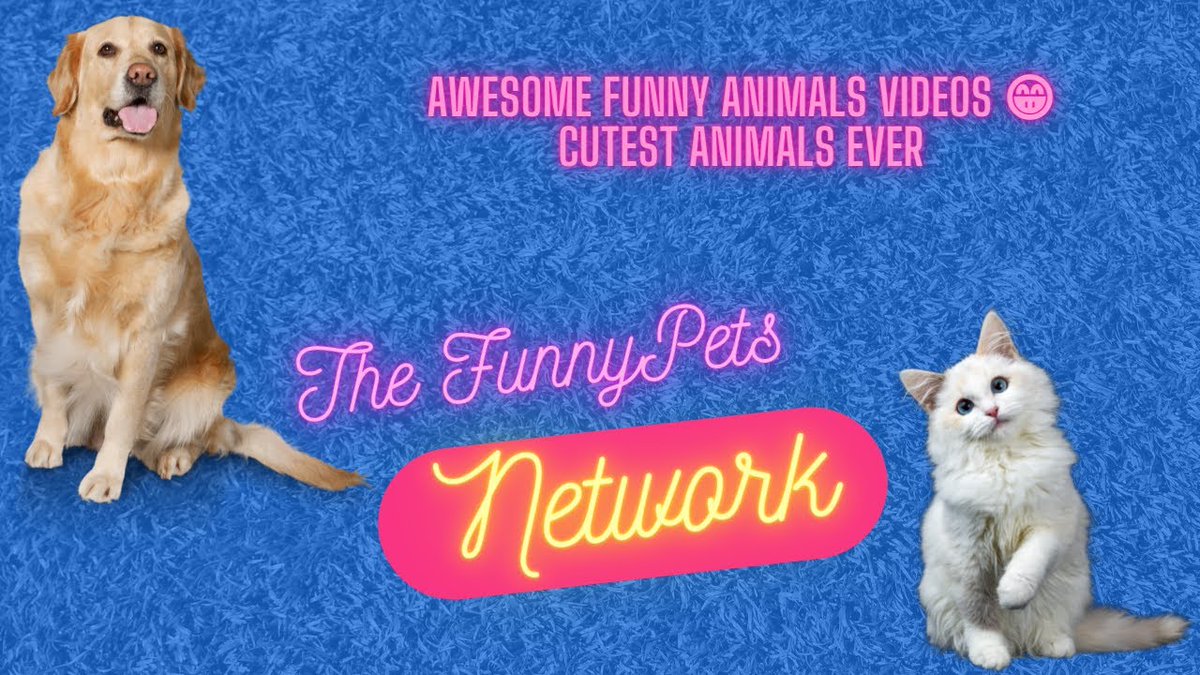 NathanSplit's tweet image. Awesome Funny Animals Videos ?  Cutest Animals Ever – Hi, thanks for watching our video!
I decided to create this channel as a huge animal lover, and seeing my own cat doing the most crazy stuff on an almost daily base XD

I would ... youtube.com/watch?v=s3xhz7…