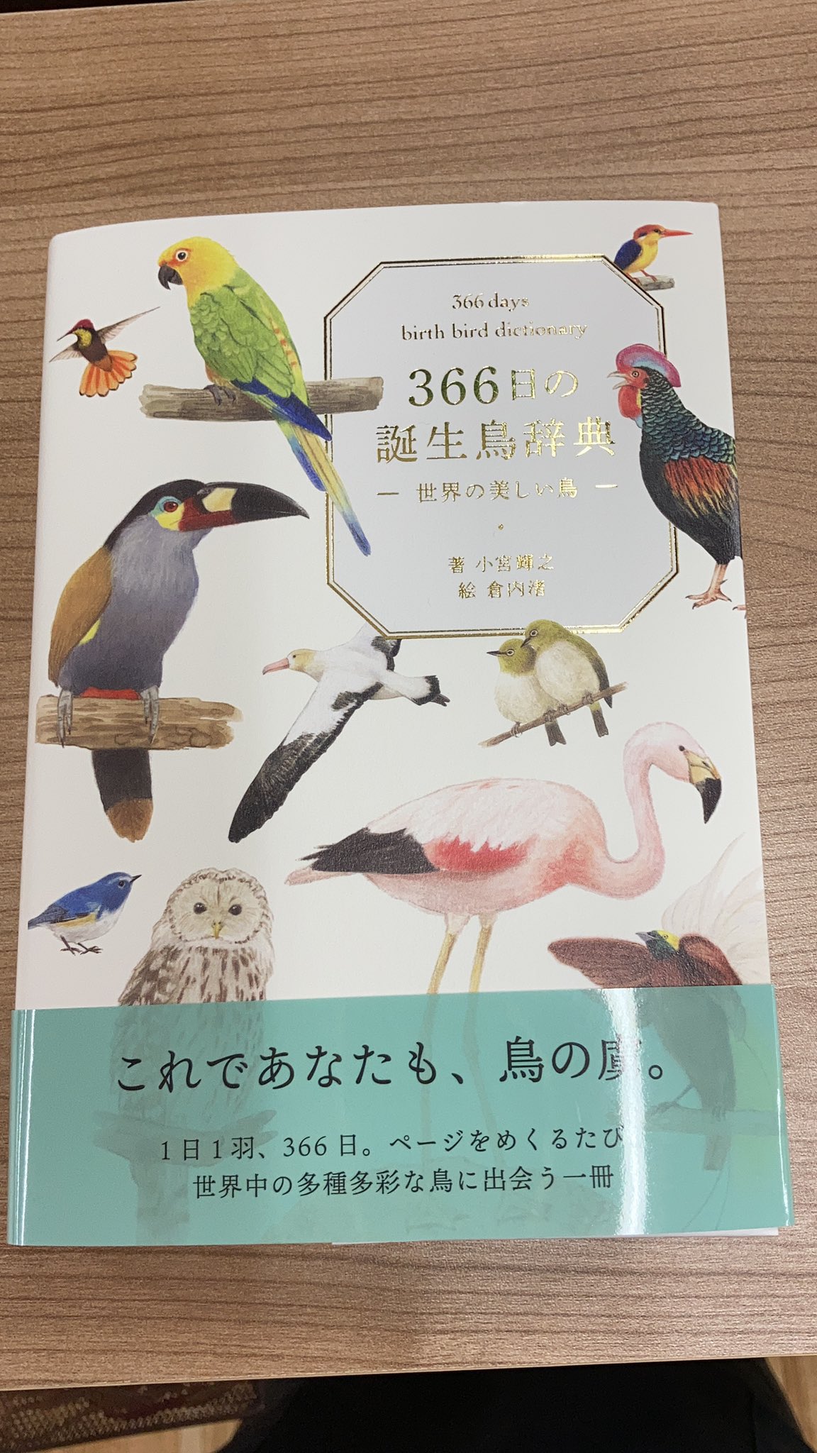 丸善 広島店 誕生日ならぬ 誕生鳥 があるのをご存知ですか 私は知りませんでした 366日の誕生鳥辞典 世界の美しい鳥 いろは出版 ちなみに本日は ナナクサインコの日 です 美しいですね T Co Rezlujglso Twitter 丸善 広島店 誕生日ならぬ 誕生鳥 があるのをご存知ですか 私は知りませんでした 366日の誕生鳥辞典 世界の美しい鳥 いろは出版 ちなみに本日は ナナクサインコの日 です 美しいですね T Co Rezlujglso Twitter