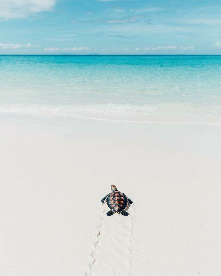 dan sesungguhnya terdapat rindu yang kian tertata karena dirimu...

#CelahAwan 
#programfolback