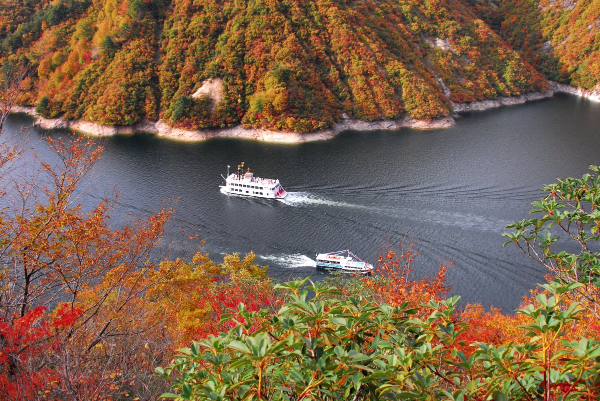 umasaniigata's tweet photo. 【LINEプレゼントキャンペーン】

県内有数の紅葉の名所「奥只見湖」✨
遊覧船に乗って紅葉を眺めてみませんか？🚢

10/13～奥只見湖遊覧船周遊チケットプレゼントキャンペーンを実地します！

【応募方法】
10月13日 17時までにLINEの友だち登録

【登録方法】
新潟県観光協会で検索

#新潟 #奥只見湖 https://t.co/zyfoyA0vMj