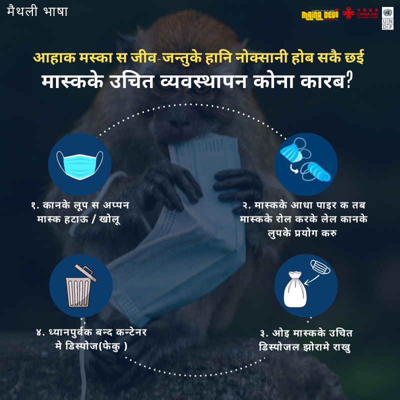 Mainadevifound's tweet photo. हामीले प्रयोग गरेको मास्कले जनावरहरुलाई हानी हुन सक्छ। 
मास्कको  उचित व्यवस्थापन कसरी गर्ने?
जानौ मैथली भाषामा।  
#PGRP #HCWM #project_sachetana @UNDPNepal  @cidcaofficial https://t.co/pTkLExhkAa