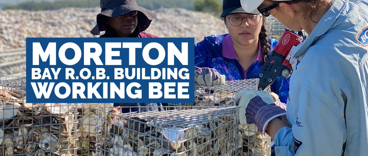 TwomeyAlice's tweet photo. Interested in #oysterreefs? #OzFish Central Moreton Bay Chapter is aiming to deploy >50,000 Robust Oyster Baskets in the Bay over 6 years and they need volunteers to help deploy them!
https://t.co/MIXxoMV07T https://t.co/pIFeyXIwmw