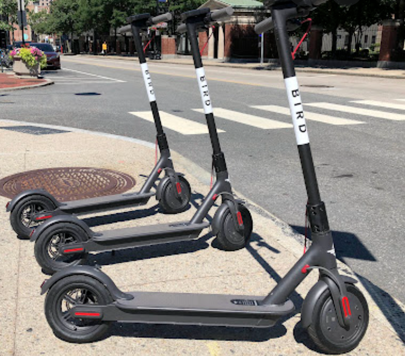 _Will_Swetnam_'s tweet photo. A great way to explore Columbia is by using the "Bird" scooters. Don't forget your helmet! #MGMT3300I https://t.co/DmkKMdi9iE