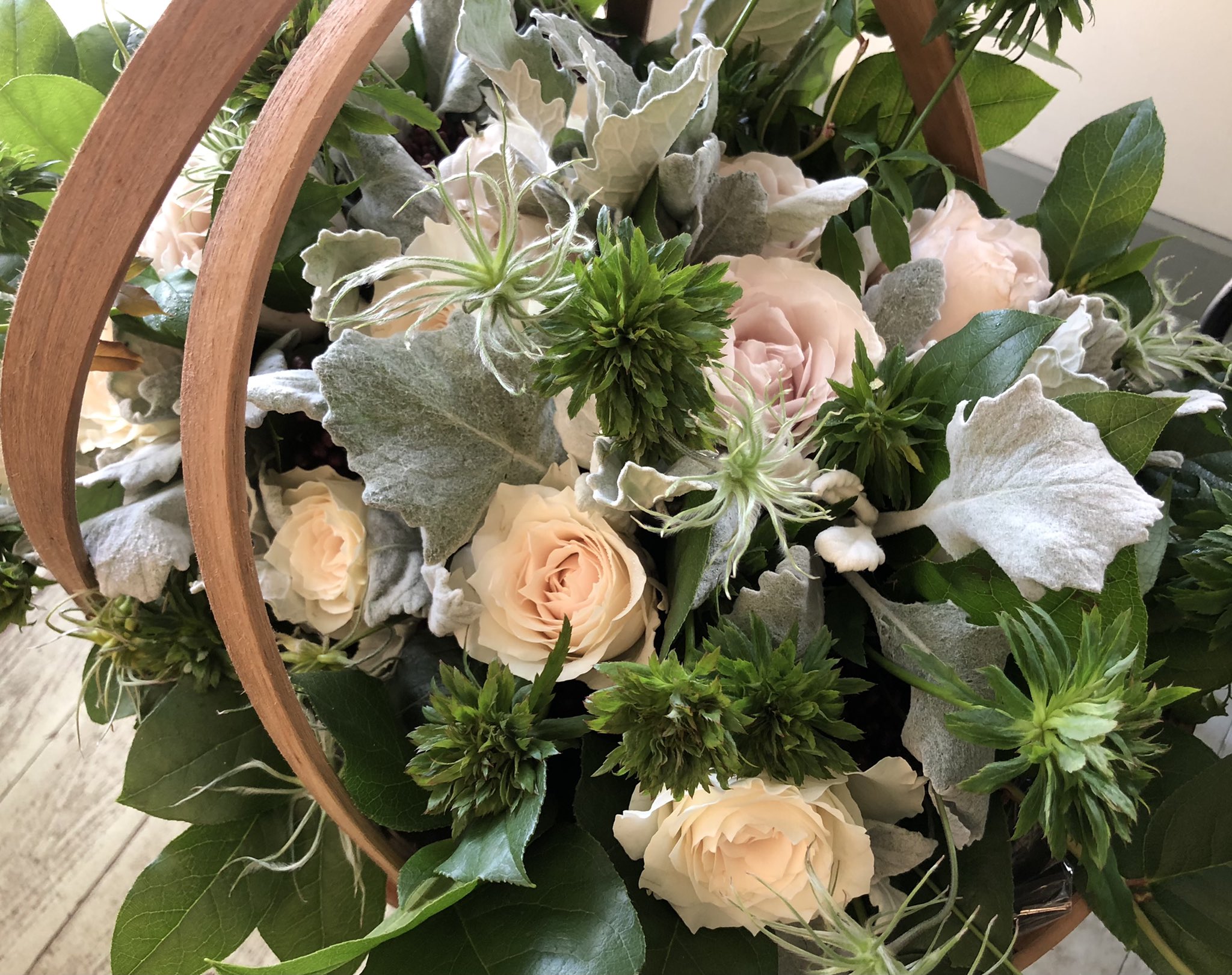El Sur Elsur Flower Twitter