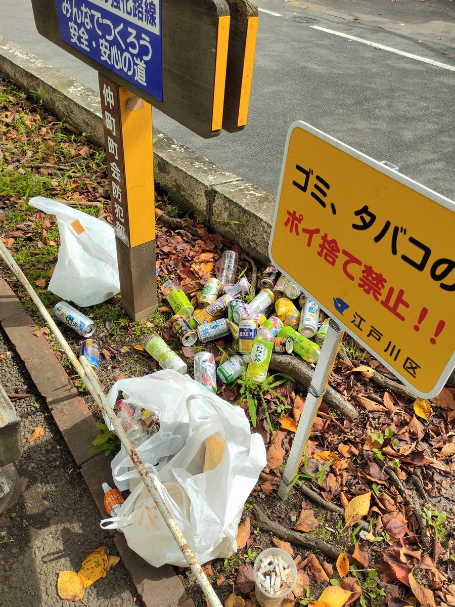 250歩の散歩道 Gingaastar Twitter