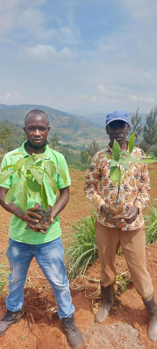 rysco_seeds's tweet photo. Customer care in Agriculture! We  follow up and support our clients! @RwandaAgriBoard @RwandAgriExport @AkezaGermaine @NiyigabaEtienne @UR_CAVM @UmujyojyoPlc @africaagmedia @AGR_RESEARCH @ryaf_agribiz @RwandAgriExport @g_mukeshimana https://t.co/RmI89jqVPx